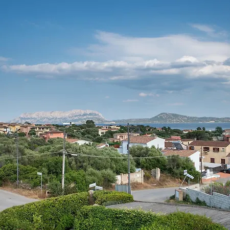 Belvedere 22 1 Olbia